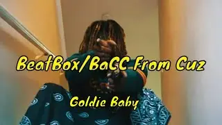 Goldie Baby - Beatbox Remix/Back in Blood Remix (BaCC from Cuz) Official Video