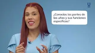 Anatomía y fisiología de las uñas - Curso de uñas semipermanentes