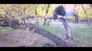 Очередная хуйня...