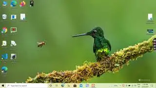 PHP (save text file)