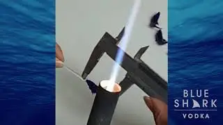 How Does The Shark Get In The Bottle?