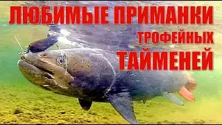 Ловим тайменя. Советы бывалых таймешатников.ЛЮБИМЫЕ ПРИМАНКИ ТРОФЕЙНЫХ ТАЙМЕНЕЙ. Фильм 12