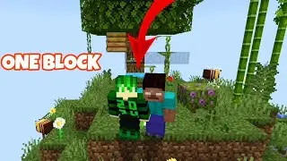 ONE BLOCK Survival