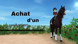 Sso-Achat d'un Lusitanien