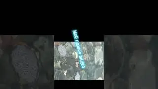 Моё первое видео