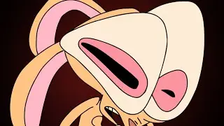 content.mp4