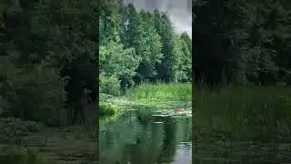 Мерлин и её сестра 🍄🌸