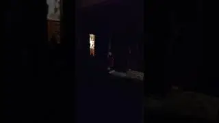Дед Мороз попал на скрытую камеру.