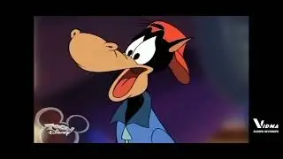 Horace horsecollar,s problems reacts