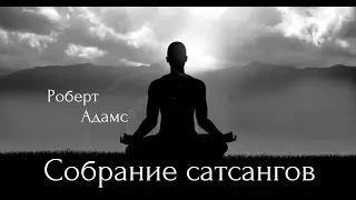 Роберт Адамс - Рождения нет. Сатсанг | Аудиокнигa | Адвайта | NikOsho