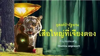 ๑.เสือใหญ่ที่เจียงตอง..ธุดงค์ป่ารัฐฉาน
