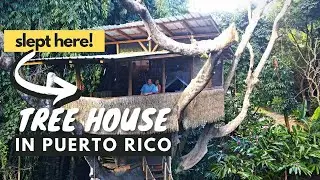 We Stayed at a Treehouse in the Mountains of Puerto Rico