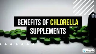 Chlorella Benefits Explained
