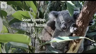 Season's Greetings from WWF-Australia | WWF-Australia