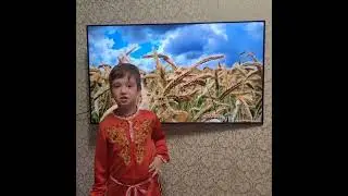 Курбатов Артём, 2 класс. "История в стихах". Есенин