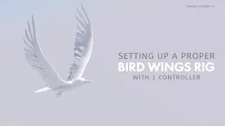 Cinema 4D | Setting up a Proper bird wings Rig || 1 controller for animation