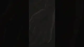 #гриффит