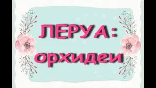 Леруа:ЧУДЕСНЫЙ завоз ОРХИДЕЙ!