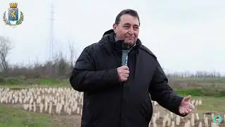 Boschi in città Abbiategrasso - Italy