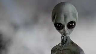 Alien life or Humans from the future?