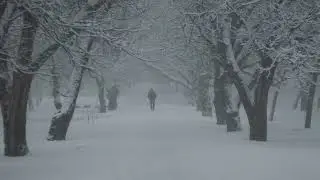 Стабилизация