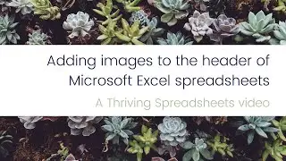 Thriving Spreadsheets – Adding images to the header of Microsoft Excel spreadsheets