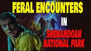 FERAL HUMANS IN SHENANDOAH NATIONAL PARK -  #Ferals #shenandoahnationalpark #feralpeople