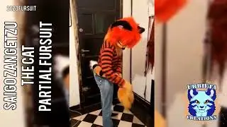 Saigo Zangetzu The cat Partial fursuit