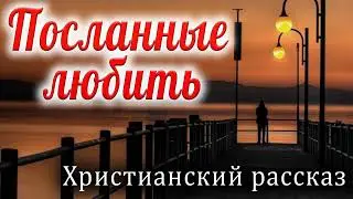 ✔ Очень интересный рассказ 2022   Посланные любить, Светлана Тимохина