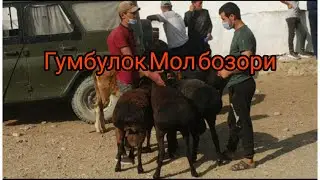 #мол_бозори_гумбулок
