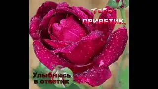 Стих: Улыбнитесь пока не поздно!