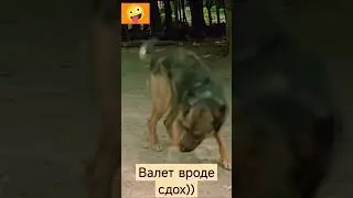 #ссср