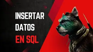 INSERTAR DATOS EN NUESTRA TABLA DE SQL - INSERT VALUES IN OUR DATABASE IN SQL - MICROSOFT SQL