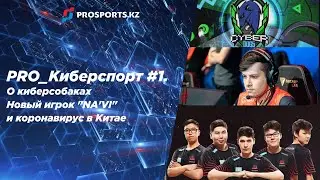 PRO_Киберспорт #1. О судьбе киберсобак, новом игроке «Natus Vincere» и коронавирусе в Китае.
