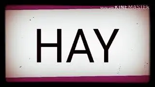 Meme Hay