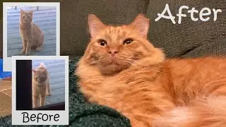 First Photos of Cinnabon Found