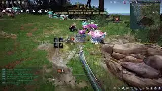 Grind Guide Polly's Forest 30-40 Mil/H (Black Desert Online)