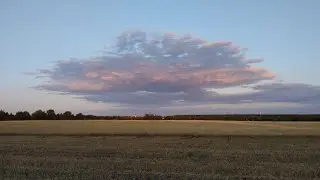 25.07.24. Духовное родство