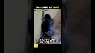 Quando rispondi in automatico