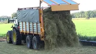 Kuipers chopping corn