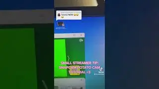 POTATO CAM W