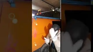 Дед Потап в гараже😂🤣😃