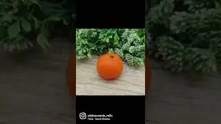 Хиты силиконовых форм