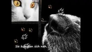 Gegen-Sätze im Seniorentreff