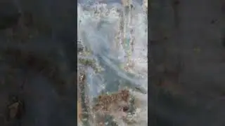 Зимовка трутней.
