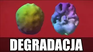 Czy pornografia degraduje mózg?