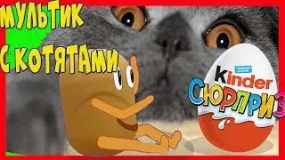 ЖИВАЯ КАПСУЛА мультик для детей. Милое и смешное ВИДЕО ДЛЯ ДЕТЕЙ про котят и живые капсулы.