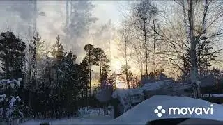 22 января 2024 г.