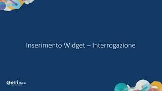 Strategie per realizzare un WebGIS (ArcGIS Experience Builder, Calcite Design System e non solo)