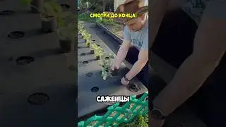 Простой и полезный совет✅ 